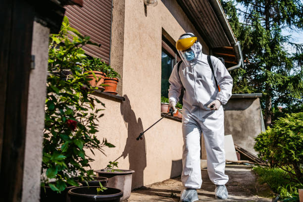 Best Pest Control Treatment  in Greenville, VA