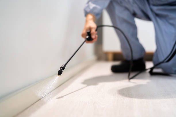 Best Flea Control Services  in Greenville, VA