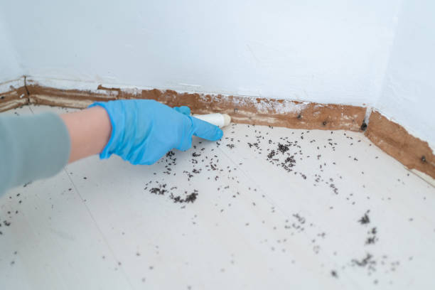 Best Exterminator Services  in Greenville, VA